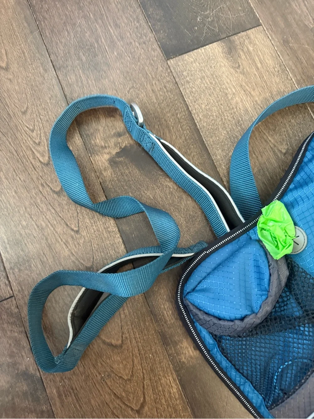 Arcadia Blue Sling Crossbody Bag and Leash